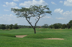 Koro Creek