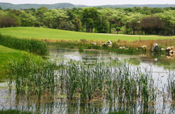 Koro Creek